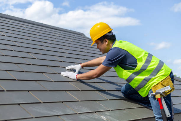 Best Flat Roof Repair Services  in Pecatonica, IL