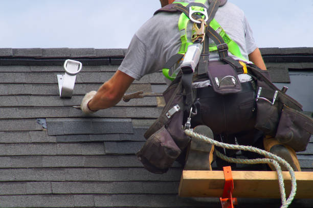 Best Commercial Roofing Services  in Pecatonica, IL