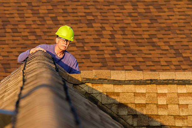 Best Commercial Roofing Services  in Pecatonica, IL
